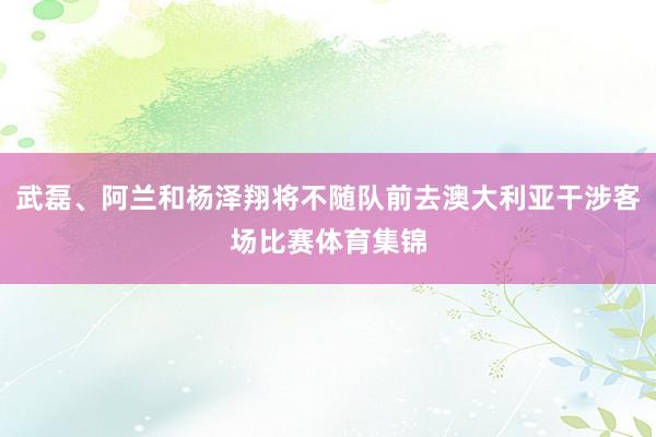 武磊、阿兰和杨泽翔将不随队前去澳大利亚干涉客场比赛体育集锦