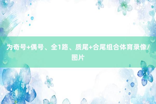 为奇号+偶号、全1路、质尾+合尾组合体育录像/图片